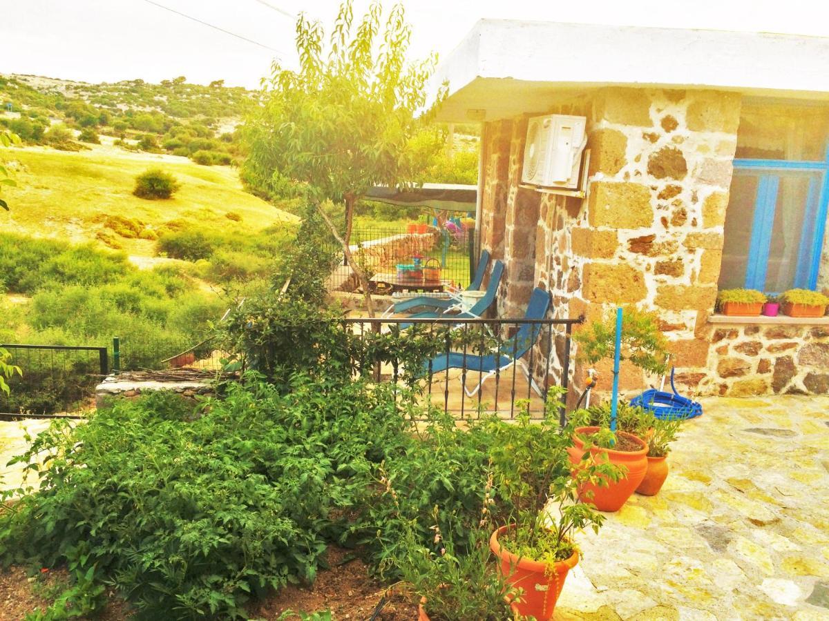 Alterna Koey Evi Guest House Ayvacik Bagian luar foto