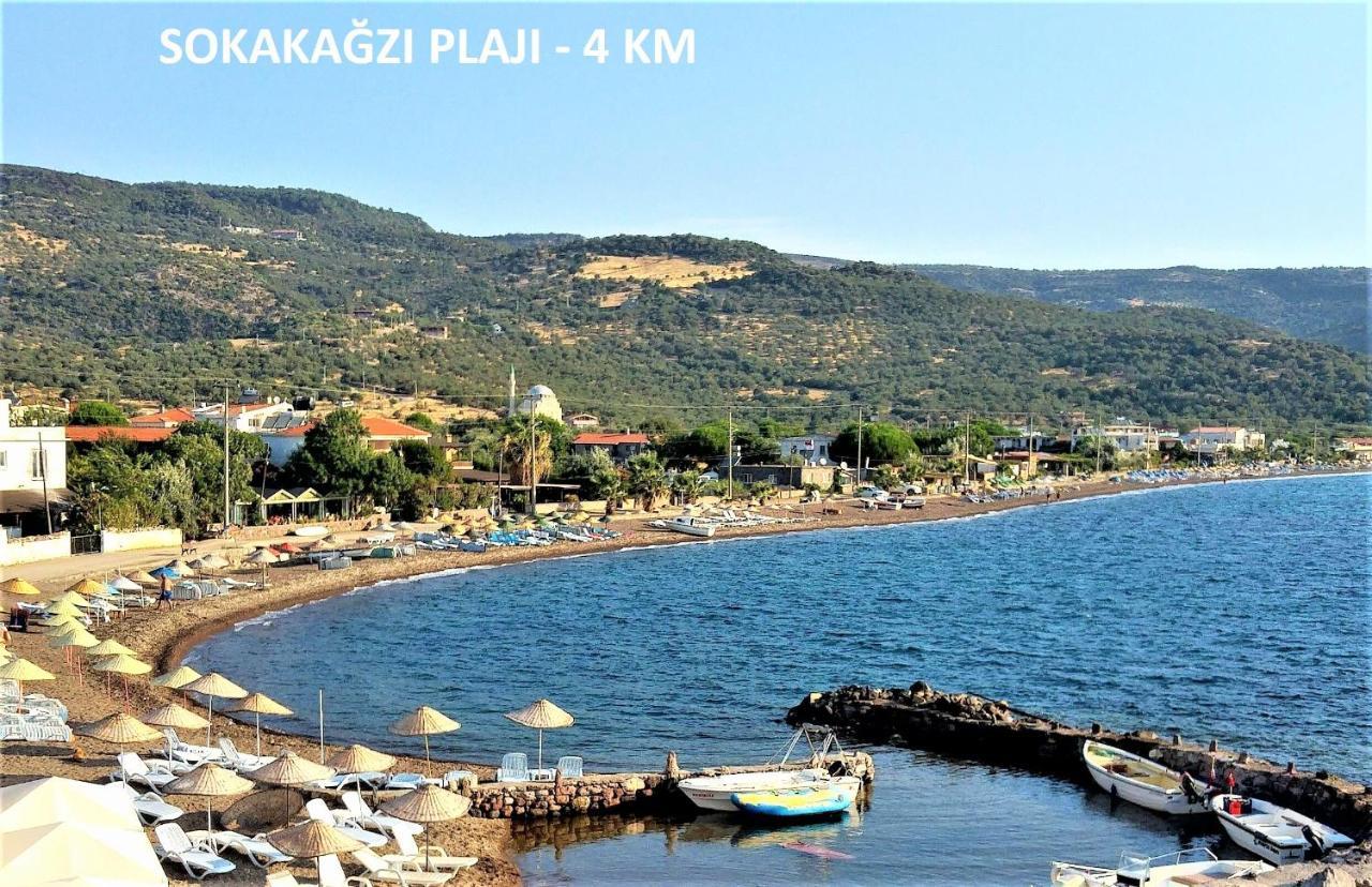 Alterna Koey Evi Guest House Ayvacik Bagian luar foto