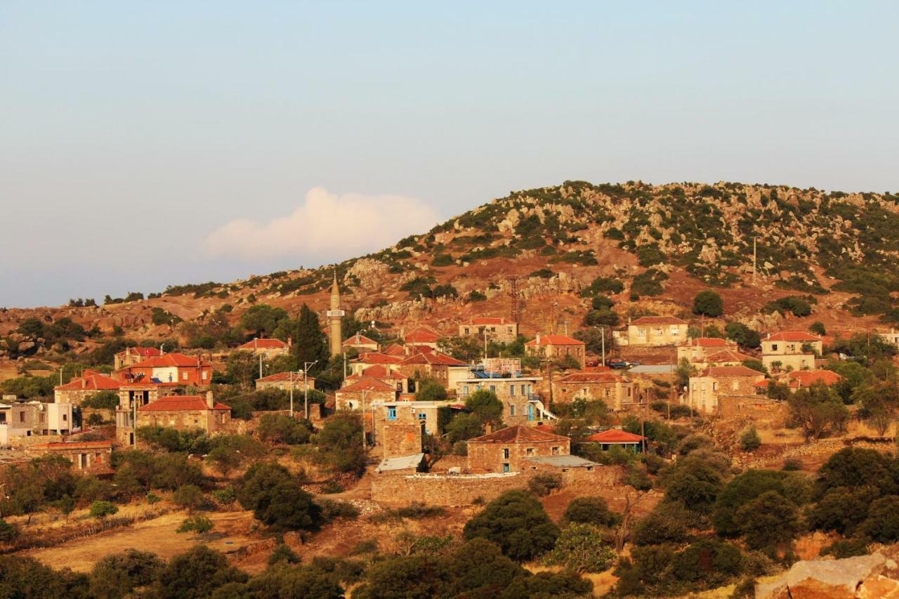 Alterna Koey Evi Guest House Ayvacik Bagian luar foto